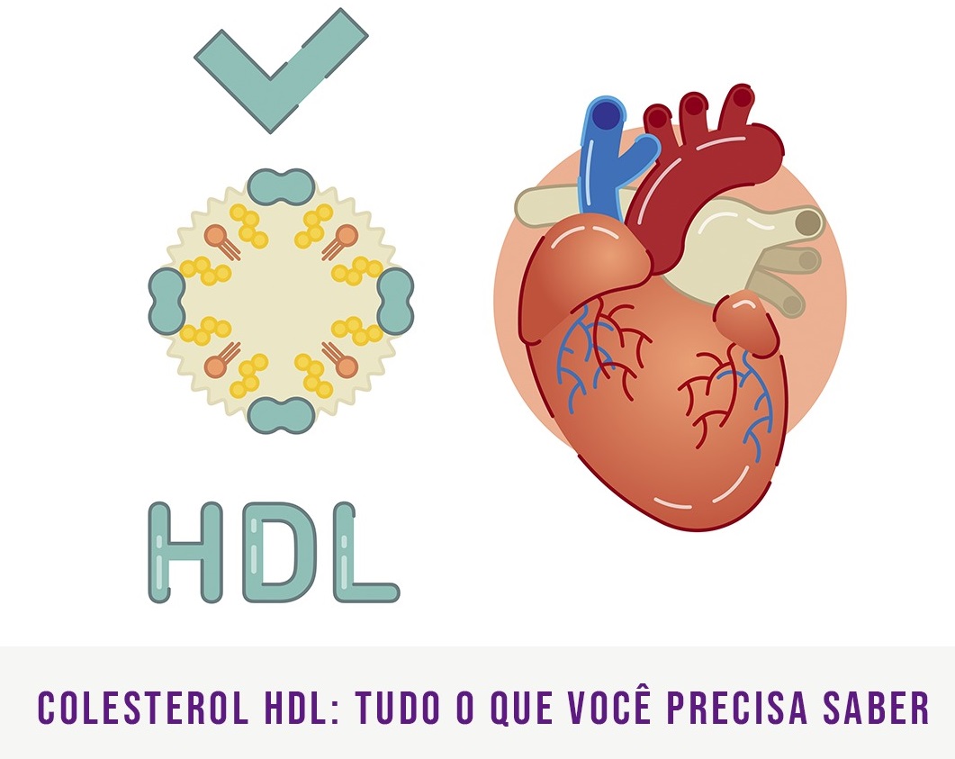 Cardiologista Copacabana Dra Mariana Fogaça - colesterol h d l alto faz bem